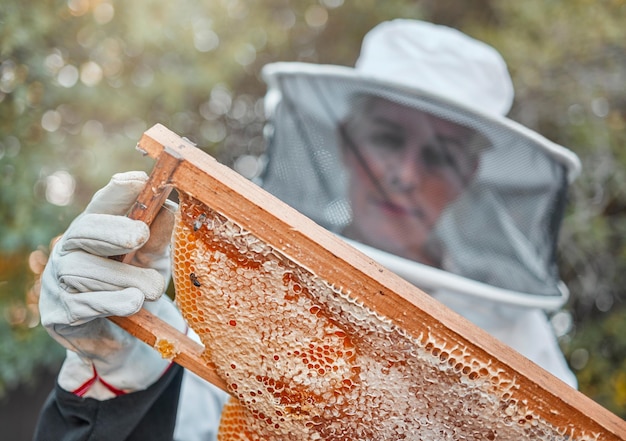 Donna dell'allevamento di api e raccolta a nido d'ape con un contadino o un giardiniere in tuta di sicurezza Sostenibilità ecologia e lavoro agricolo di un dipendente con api in natura che lavora al miele dell'apicoltura