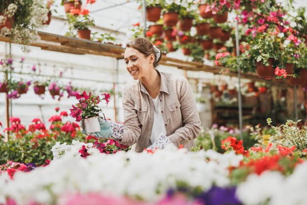 Donna di fioristi che lavora con i fiori in una serra e si prende cura delle piante in vaso.