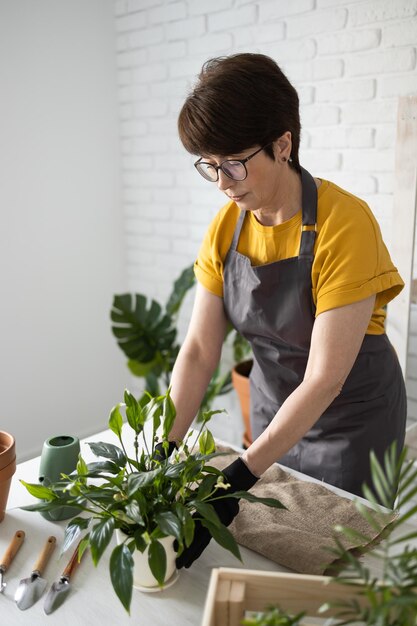 Donna di mezza età in un grembiule si prende cura della pianta in vaso in vaso Giardinaggio domestico e floricoltura Casa con piante verdi e concetto di fiorista botanico cottagecore