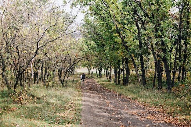 Donna e bambino camminano in un bellissimo sentiero nel bosco con alberi, fogliame verde e giallo, bellezza nella natura, stile di vita sano