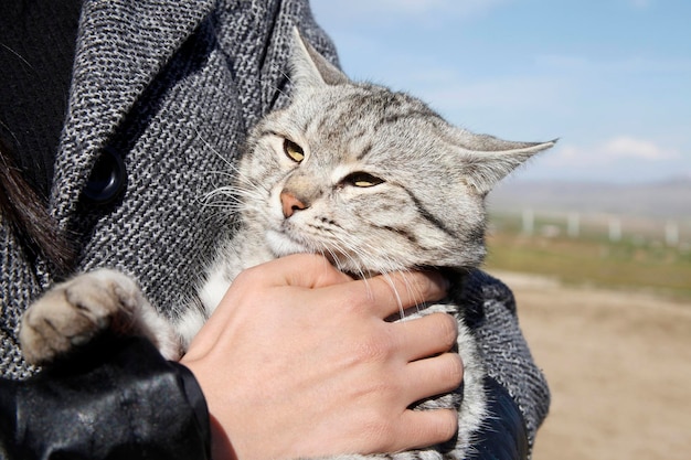 Donna e gatto I migliori amici