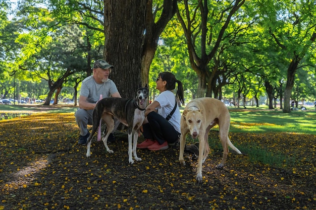 Donna e uomo seduti nel campo con i cani