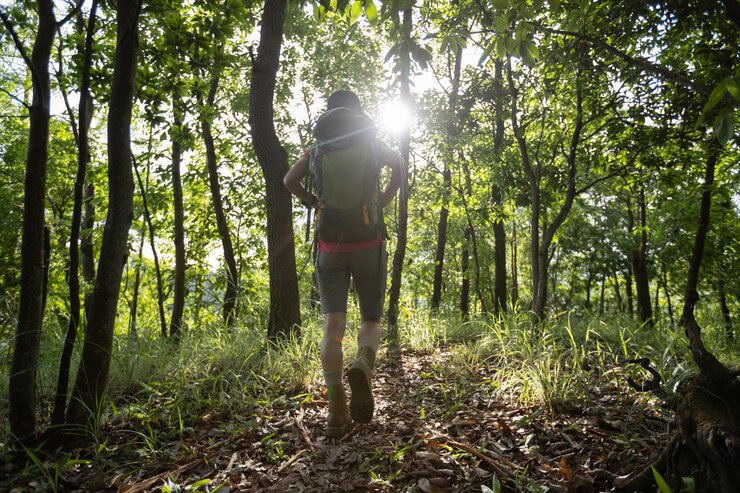 Foto donna escursionista in escursione su un sentiero forestale