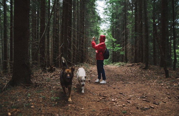 Donna escursionista in impermeabile rosso cammina lungo il sentiero nel bosco con due cani e fa foto sullo smartphone