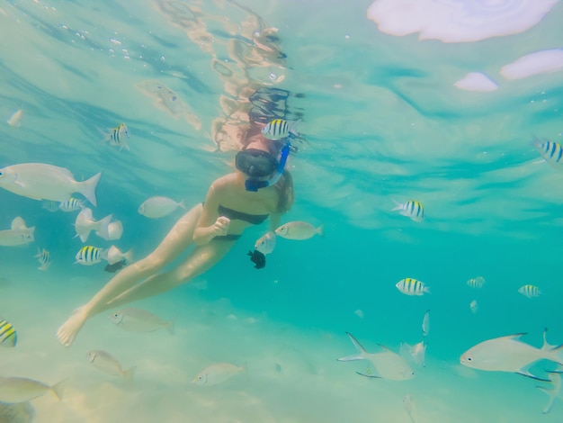 Donna felice in maschera per lo snorkeling immersioni subacquee con pesci tropicali nella barriera corallina piscina sul mare Stile di vita di viaggio sport acquatici avventura all'aperto lezioni di nuoto durante le vacanze estive al mare