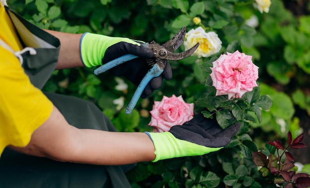 Donna giardiniere che lavora nel suo cortile Il concetto di giardinaggio cresce e si prende cura di fiori e piante