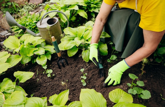 Donna giardiniere che lavora nel suo cortile Il concetto di giardinaggio cresce e si prende cura di fiori e piante