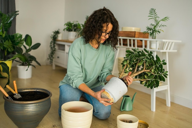 Donna giardiniere che trapianta piante verdi in vasi di ceramica sul pavimento Concetto di giardino domestico e piante in vaso