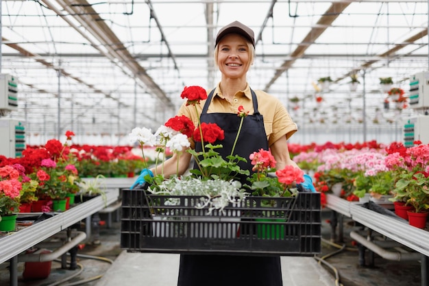 Donna graziosa che tiene una scatola piena di fiori nella serra