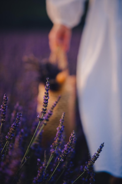 Donna in abito bianco con bouquet di fiori di lavanda