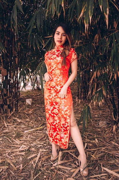 Donna in abito cheongsam