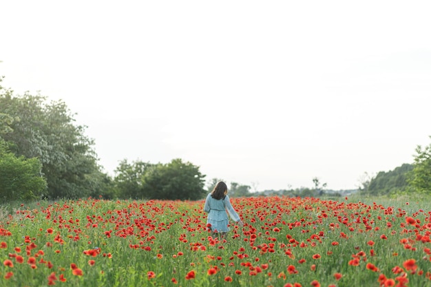 Donna in abito floreale che cammina nel campo di papaveri nella campagna estiva serale Momento atmosferico Giovane donna che si rilassa e raccoglie fiori di campo nel prato Vita rurale semplice