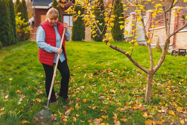 Donna in giubbotto rosso azienda rastrello Giardinaggio durante la stagione autunnale Pulizia del prato dalle foglie Rastrellare le foglie cadute nel giardino