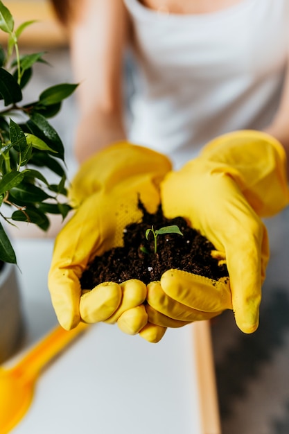 Donna in guanti gialli che tengono il germoglio nel terreno. Trapianti di giovane donna pianta a casa. Doveri domestici di primavera.