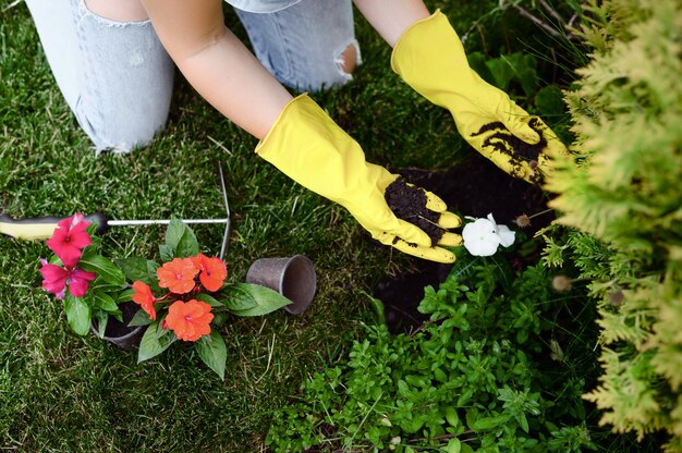 Donna in guanti piantare fiori nel giardino