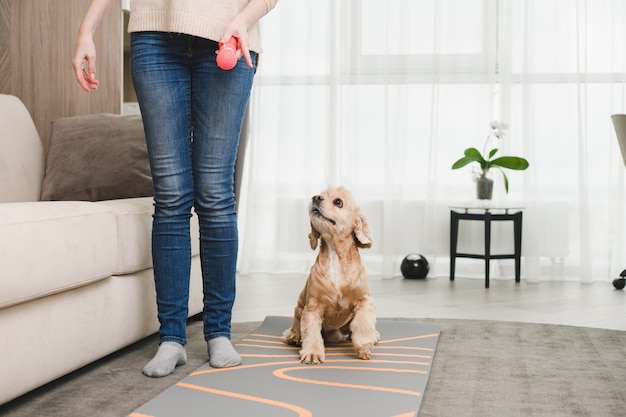 Donna in jeans casual, senza faccia, gioca con cocker spaniel e giocattolo rosa di gomma all'interno di casa, addestramento per animali domestici