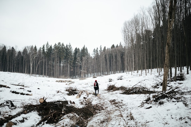 Donna in piedi nel mezzo di una foresta abbattuta.