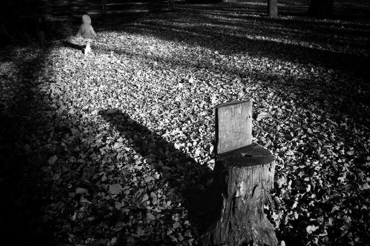 Foto donna in piedi sull'erba nel parco