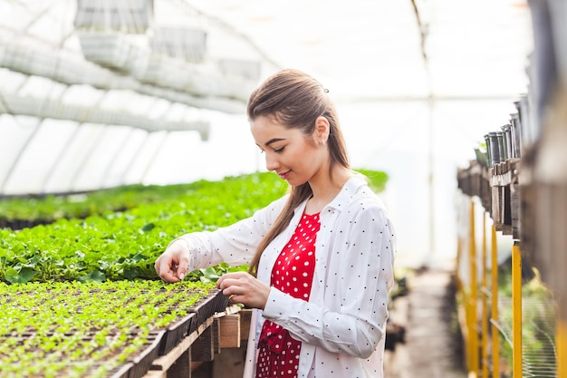 Donna in serra, giovane scienziata al lavoro