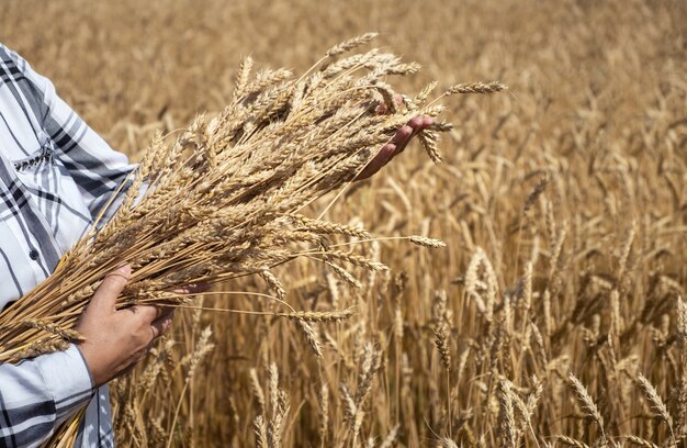 Donna in un campo con bouquet di grano