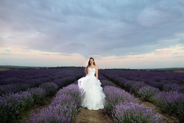 Donna in un campo di fiori di lavanda al tramonto o all'alba in un abito bianco. Francia, Provenza. copia spazio.