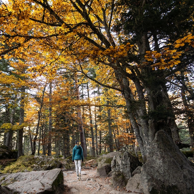 Donna in un'escursione attraverso la foresta in autunno