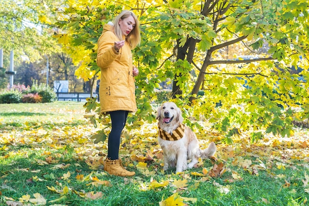 Donna in vestiti caldi con il suo cane da riporto in un parco autunnale tra foglie gialle.