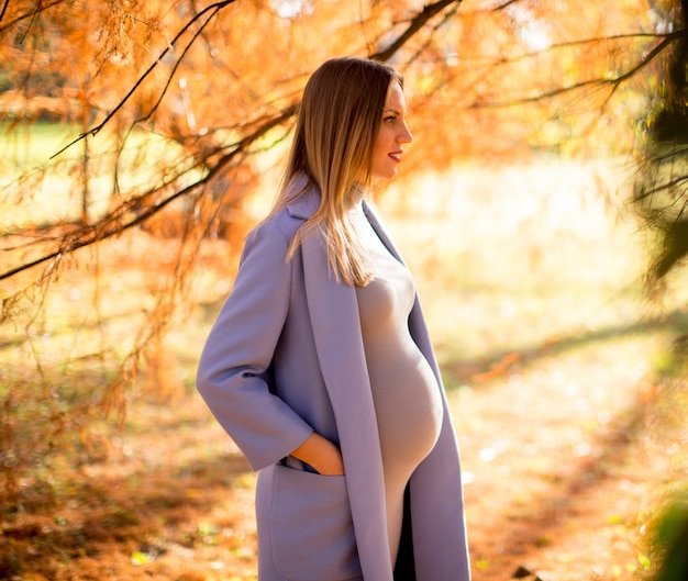 Donna incinta che posa nel parco