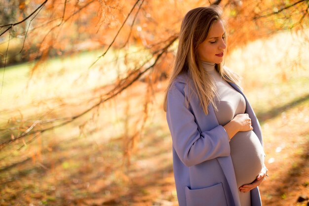 Donna incinta che posa nel parco