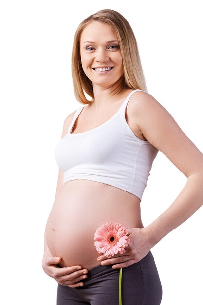 Donna incinta con fiore. Bella giovane donna incinta che tiene il fiore e si tocca l'addome mentre sta in piedi isolato su bianco