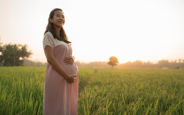 Donna incinta nel giacimento del riso il giorno del tramonto