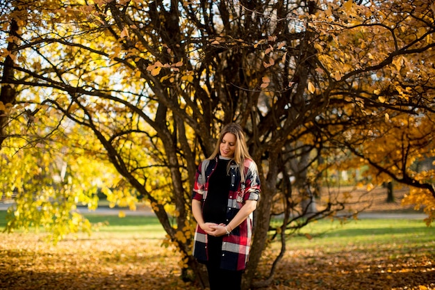 Donna incinta nel parco d&#39;autunno