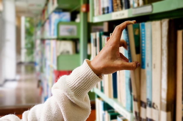 donna, lettura, biblioteca