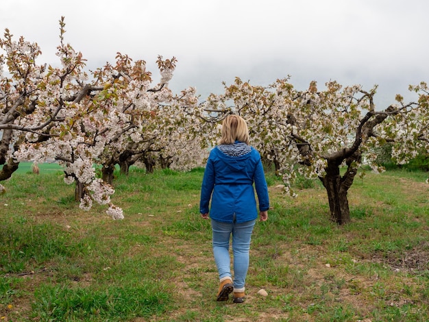 Donna matura che cammina nel paesaggio dei campi con i ciliegi nella stagione della fioritura