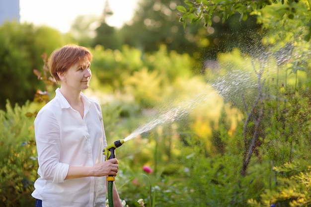 Donna matura che innaffia il prato inglese con un tubo flessibile di giardino in un giardino soleggiato.