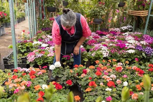 Donna messicana che innaffia le piante in vivaio Xochimilco, Messico, che indossa la maschera per il viso, nuovo normale