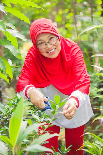 Donna musulmana anziana che fa giardinaggio pianta dell'albero di taglio