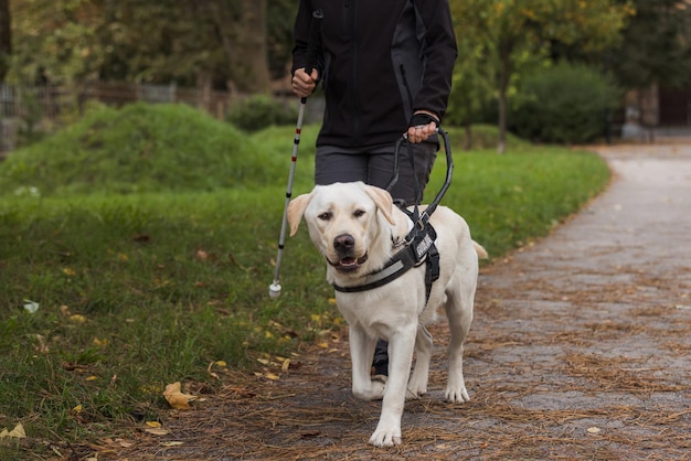 Donna non vedente che cammina nel parco con l'assistenza di un cane guida