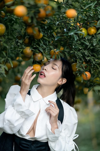 Donna sexy che raccoglie arance di mandarino in fattoria