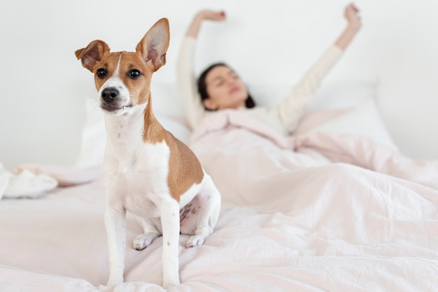 Donna sfocato a letto con il suo cane