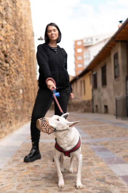 Donna spagnola della metà degli anni '30 che cammina con il suo Pit Bull Terrier senior nel muro di pietra della città sullo sfondo