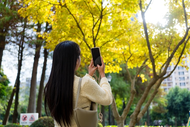 Donna usa una foto del cellulare per scattare una foto dell'albero di Ginkgo in autunno