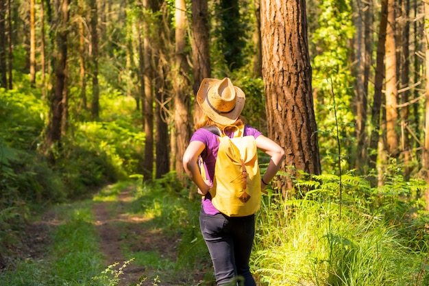 Donna viaggiatrice che indossa un cappello e guarda i pini della foresta