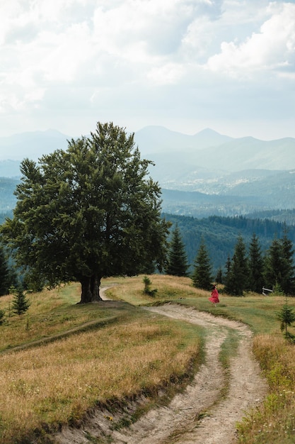 Donna vicino al vecchio grande faggio in montagna