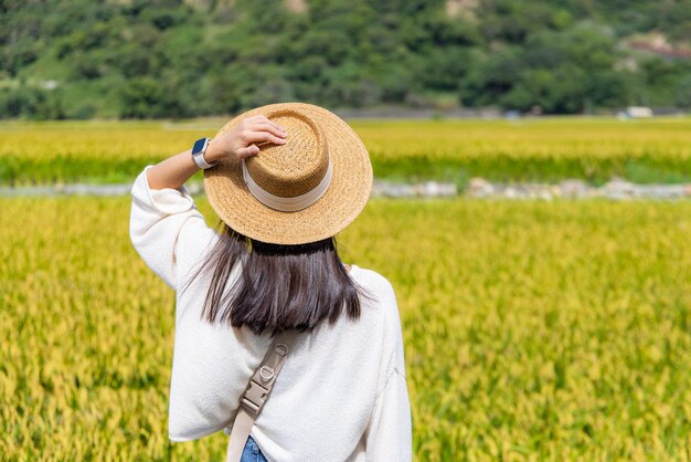 Donna visita il campo di riso giallo a Taichung