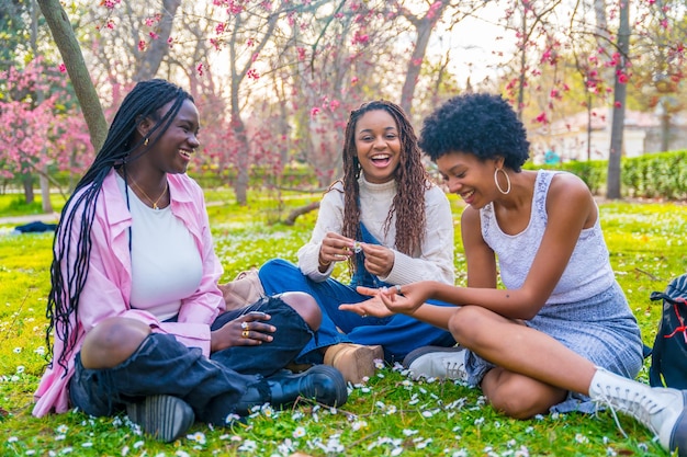 Donne africane giocose che giocano con i fiori sedute in un parco