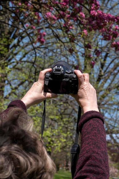 Donne che scattano foto di alberi in fiore. Fotografare con la macchina fotografica