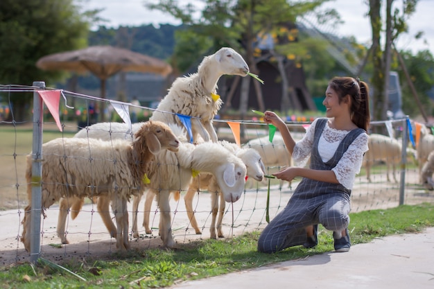 Donne che viaggiano per guardare animali