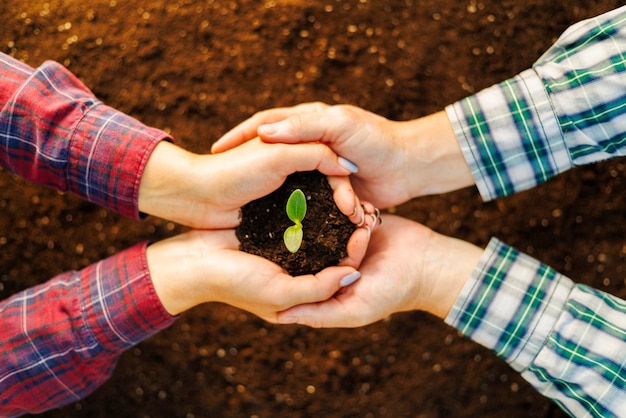 Donne e uomini insieme tenendo in mano un giovane albero su un terreno fertile