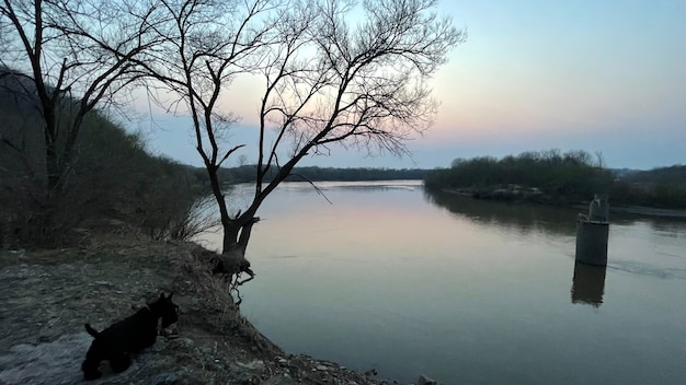 dopo il tramonto sul fiume